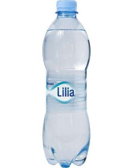 ACQUA LILIA PET 500ML